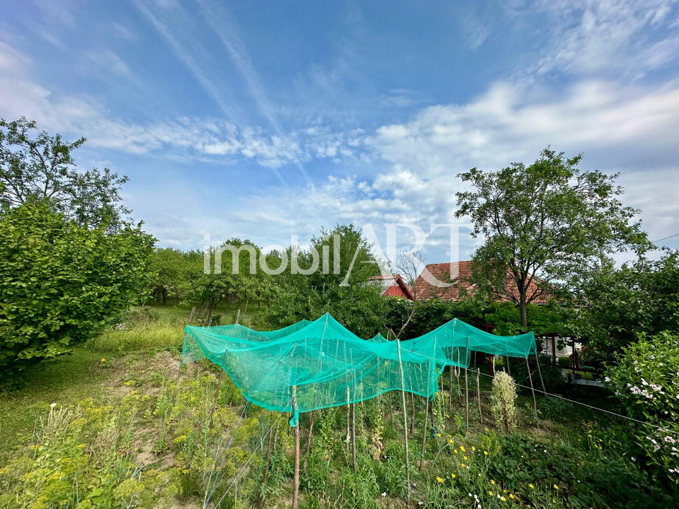 Casa 50 mp , 1600 mp teren , aproape de Parcul Balnear Toroc – Dej