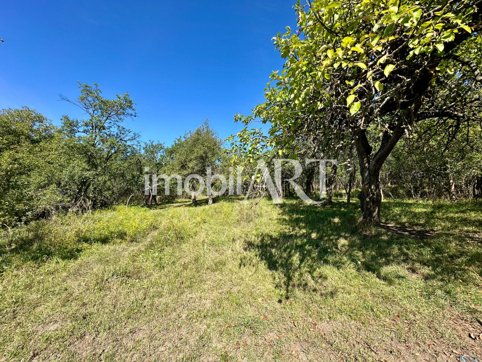 Casa 3 camere 3200mp teren la 10 km de DEJ 