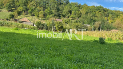 Teren intravilan 2.200 mp, zonă liniștită, aproape de pădure – Dej