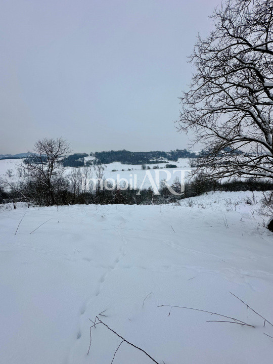 Casă cu teren 5.800 mp – Sânmărghita, com. Mica