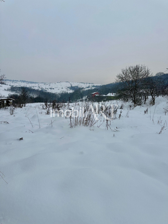 Casă cu teren 5.800 mp – Sânmărghita, com. Mica