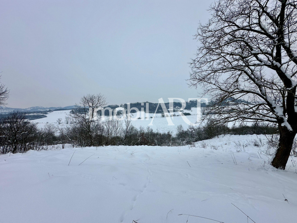 Casă cu teren 5.800 mp – Sânmărghita, com. Mica