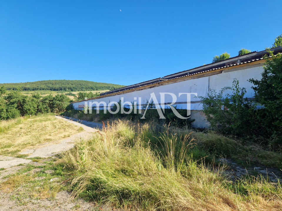 Hală din beton + teren 2.596 mp – Jichișu de Jos