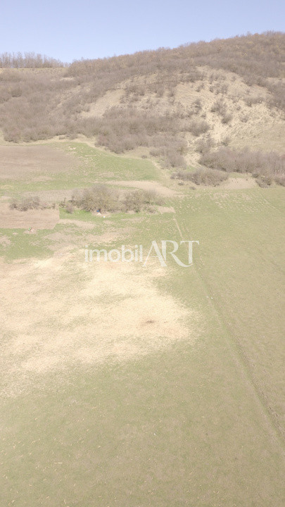 Teren extravilan 7.056 mp – Front la asfalt – Nireș, Comuna Mica, jud. Cluj