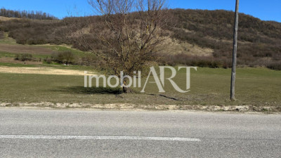 Teren extravilan 7.056 mp – Front la asfalt – Nireș, Comuna Mica, jud. Cluj