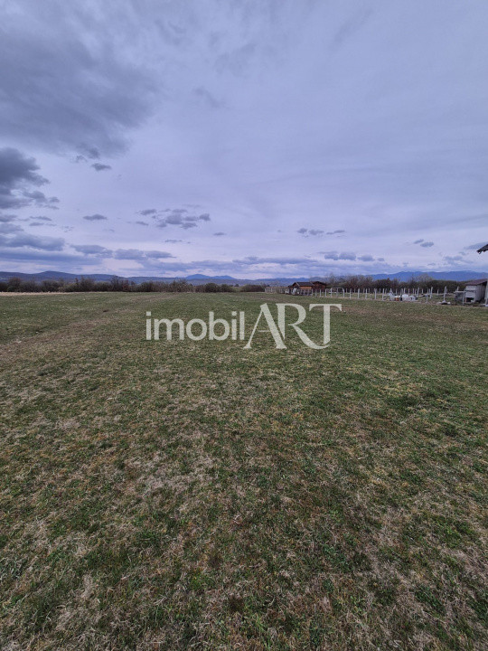 Teren generos în Buduș – perfect pentru investiție sau parcelare ulterioară