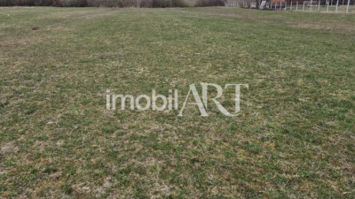Teren generos în Buduș – perfect pentru investiție sau parcelare ulterioară