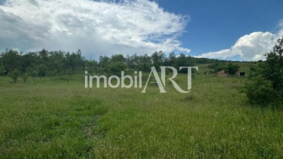 🌍 Teren intravilan 4.200 mp | Bunești, jud. Cluj | Front 40 m la drum european